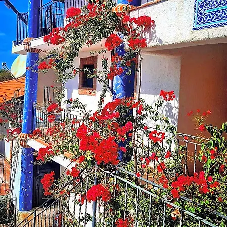Sato Triopia Butik Yakakoy (Bodrum)